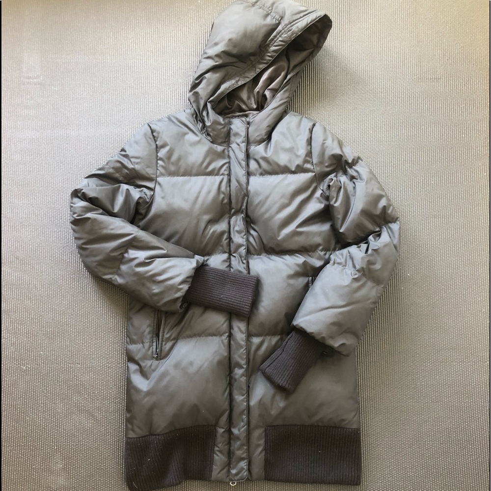 THEORY puffer!